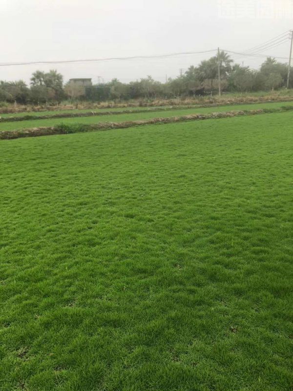 �G����ƺԓ����M���B�o������